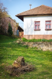 Turisti